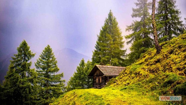 Vespern in der H&uuml;tte