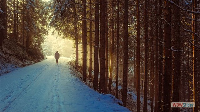 Winter Wandern